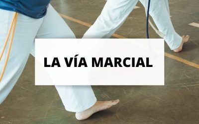 ¿Qué es la vía marcial?